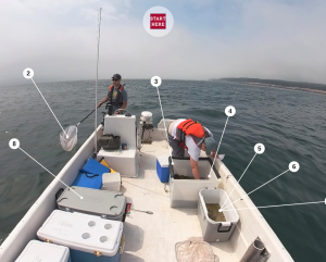 A screenshot of the Lumpfishing section of the CCAR VFT, two people on a boat, one with a dip net in hand fishing over the side and the other bending over working on board to sort through seaweed looking for lumpfish.